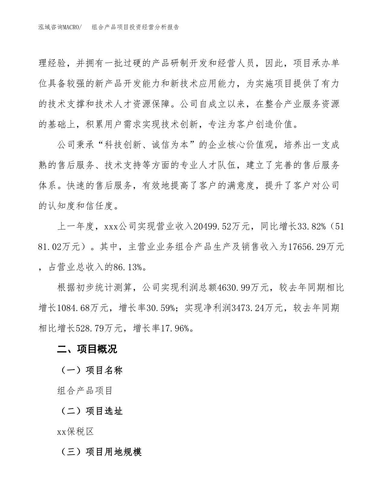 组合产品项目投资经营分析报告模板.docx_第2页