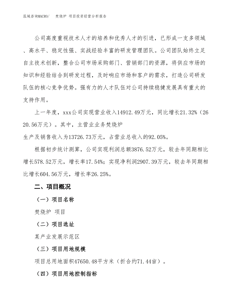 焚烧炉 项目投资经营分析报告模板.docx_第2页