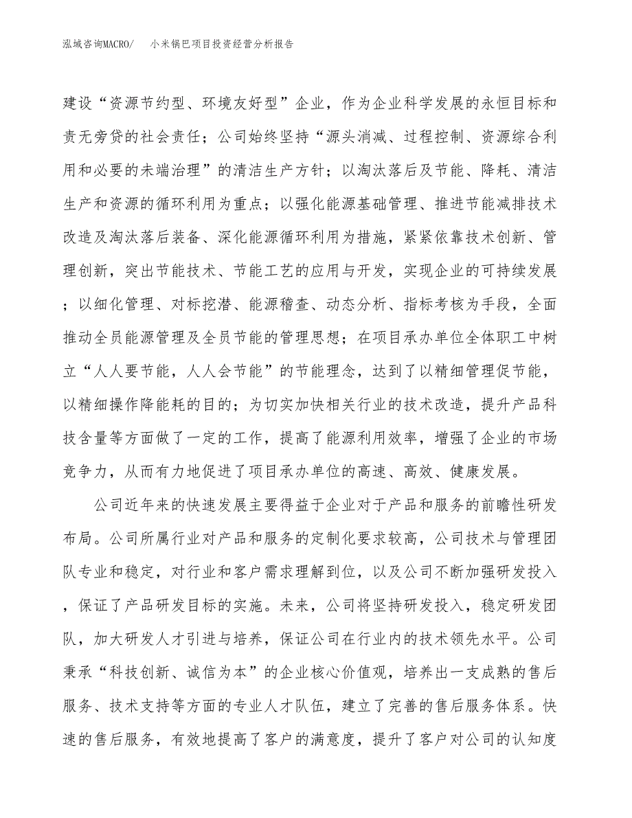 小米锅巴项目投资经营分析报告模板.docx_第2页