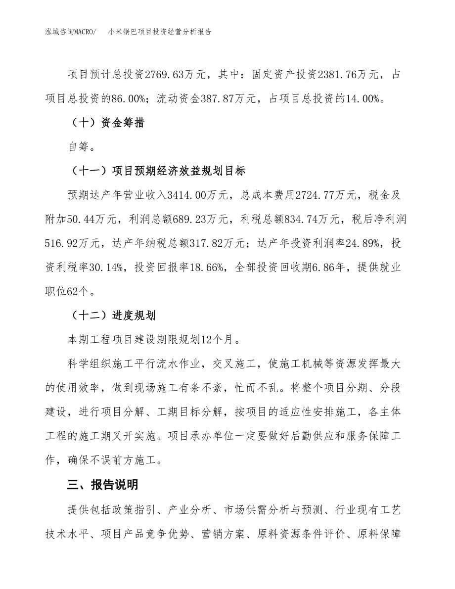 小米锅巴项目投资经营分析报告模板.docx_第5页