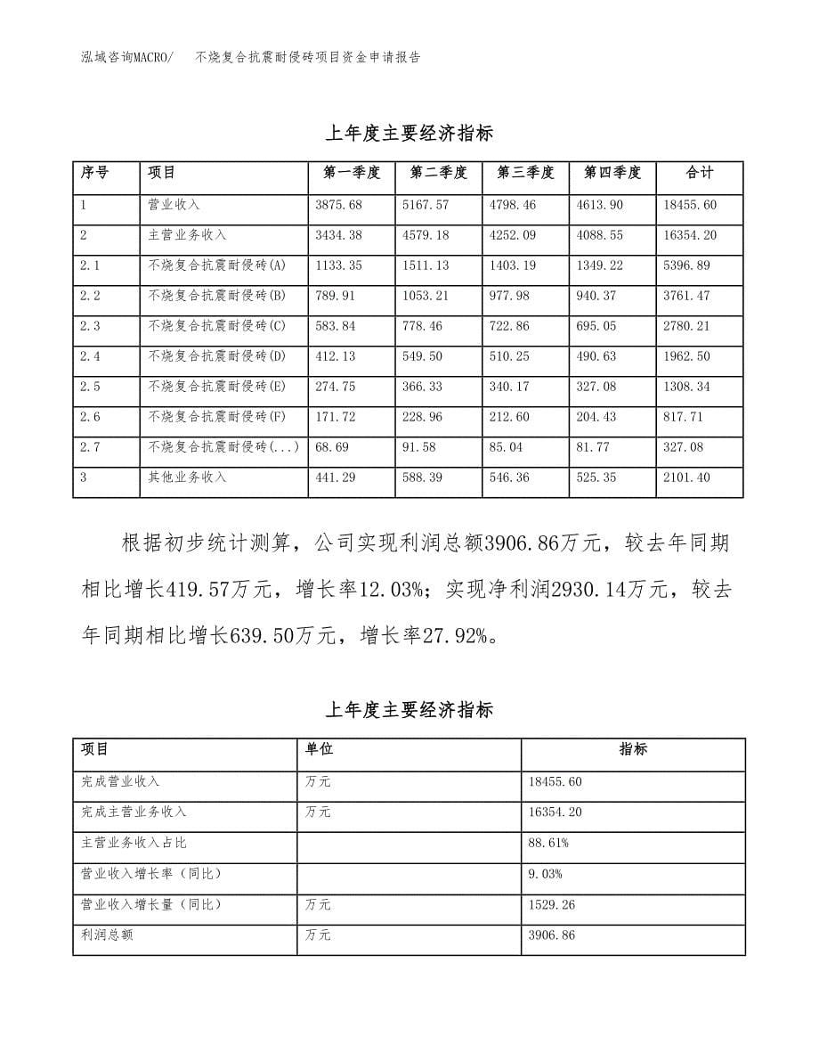 不烧复合抗震耐侵砖项目资金申请报告_第5页