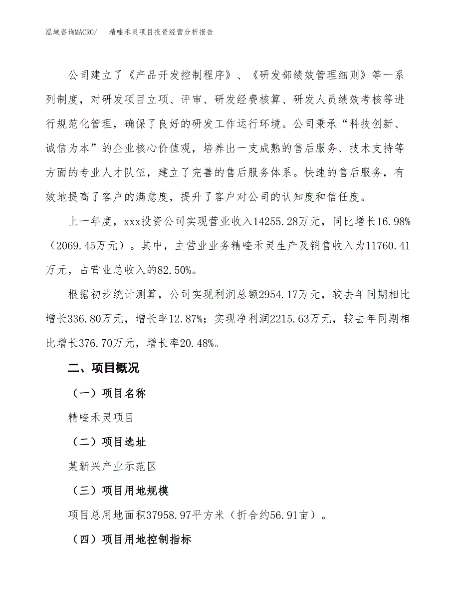 精喹禾灵项目投资经营分析报告模板.docx_第2页