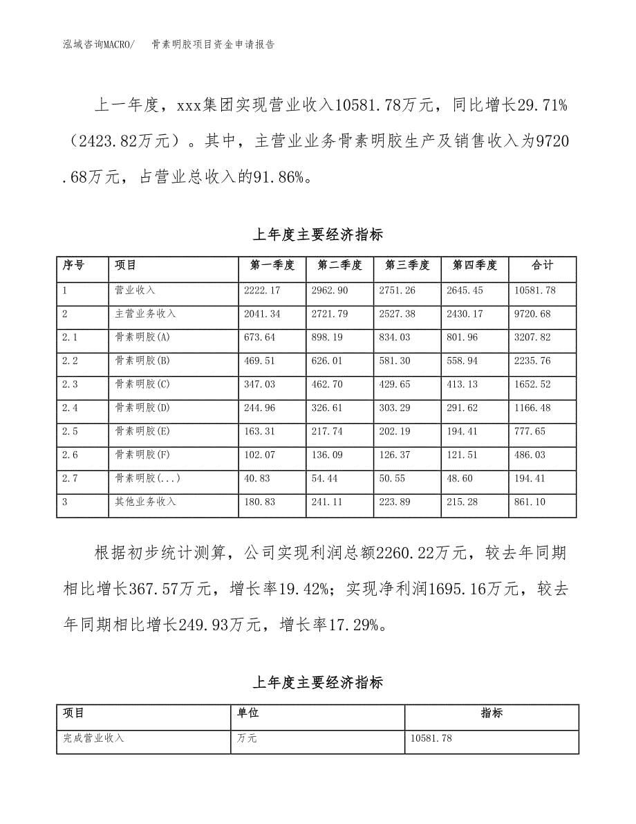 骨素明胶项目资金申请报告_第5页