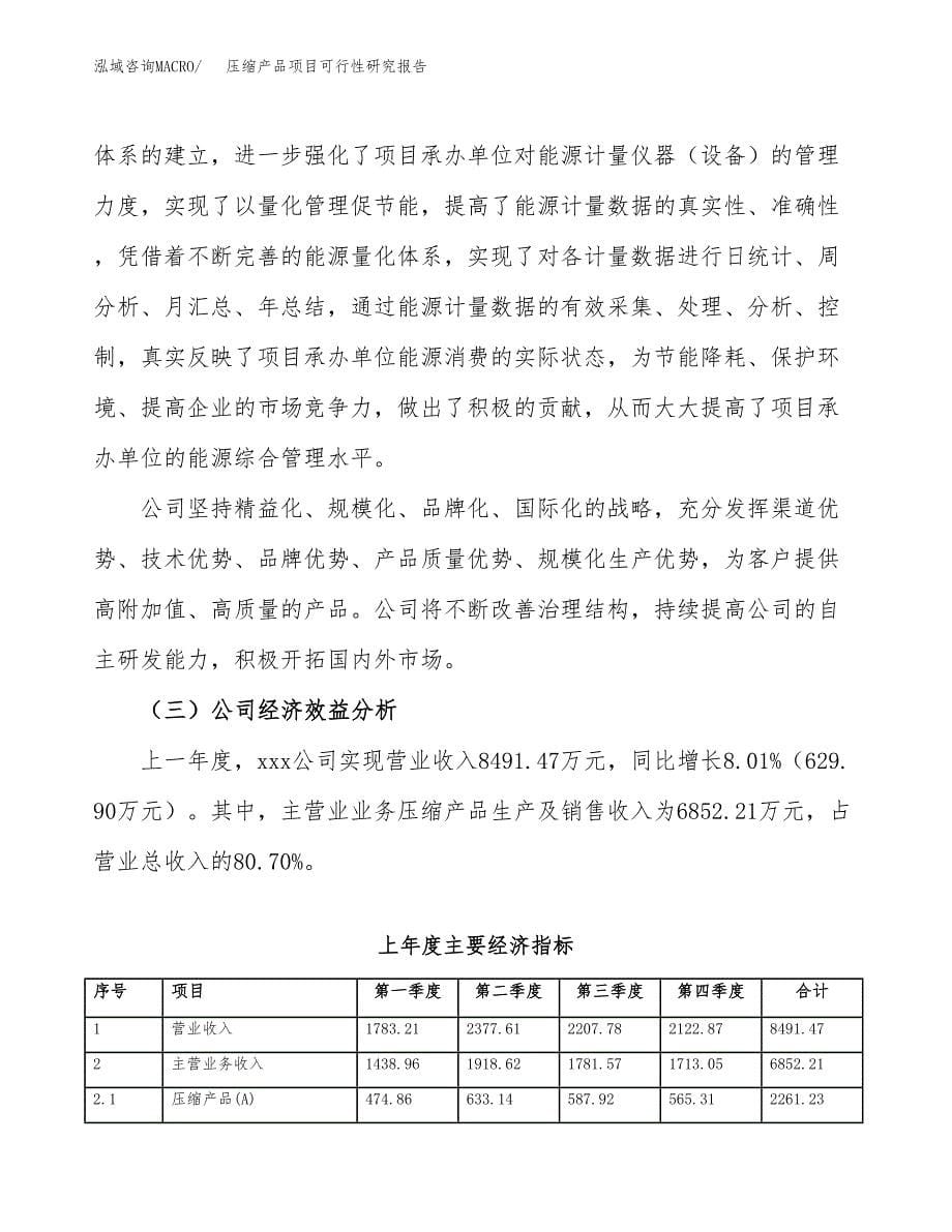 压缩产品项目可行性研究报告汇报设计.docx_第5页