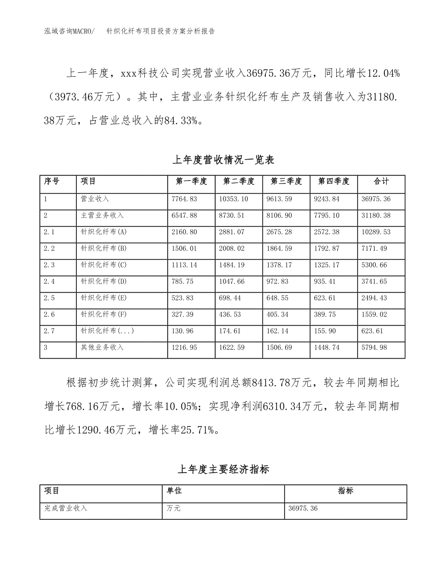 针织化纤布项目投资方案分析报告.docx_第2页