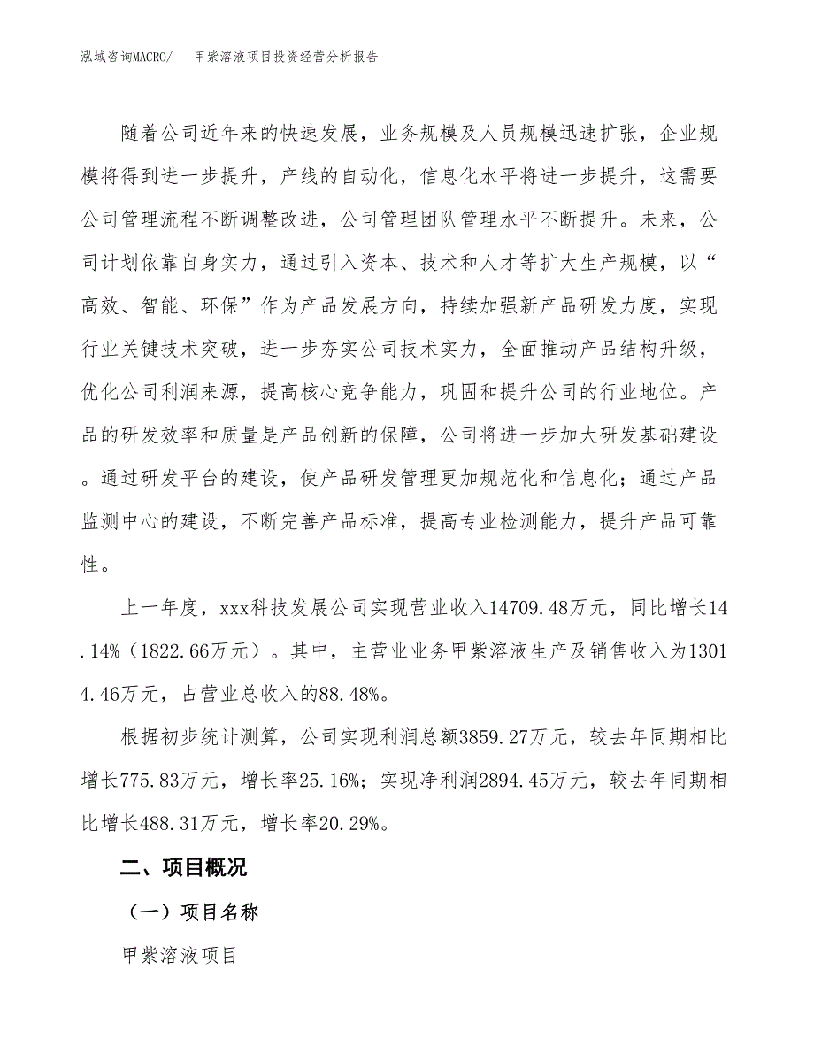 甲紫溶液项目投资经营分析报告模板.docx_第2页