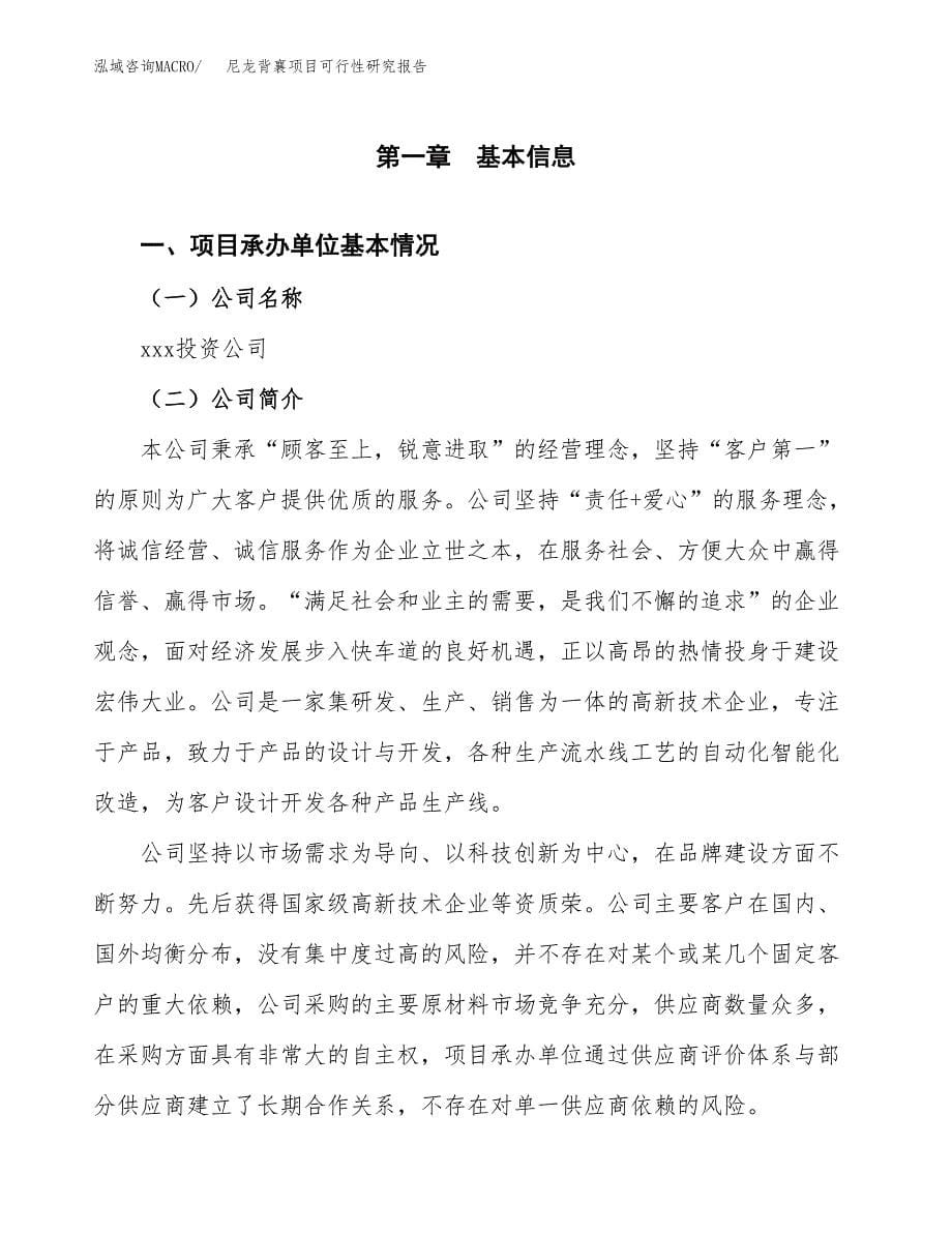 尼龙背襄项目可行性研究报告汇报设计.docx_第5页