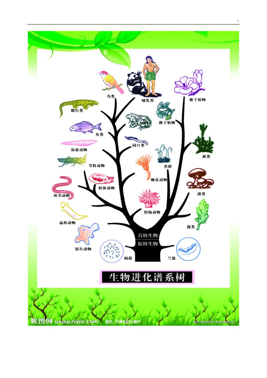 小学科学实验室布置方针_第4页