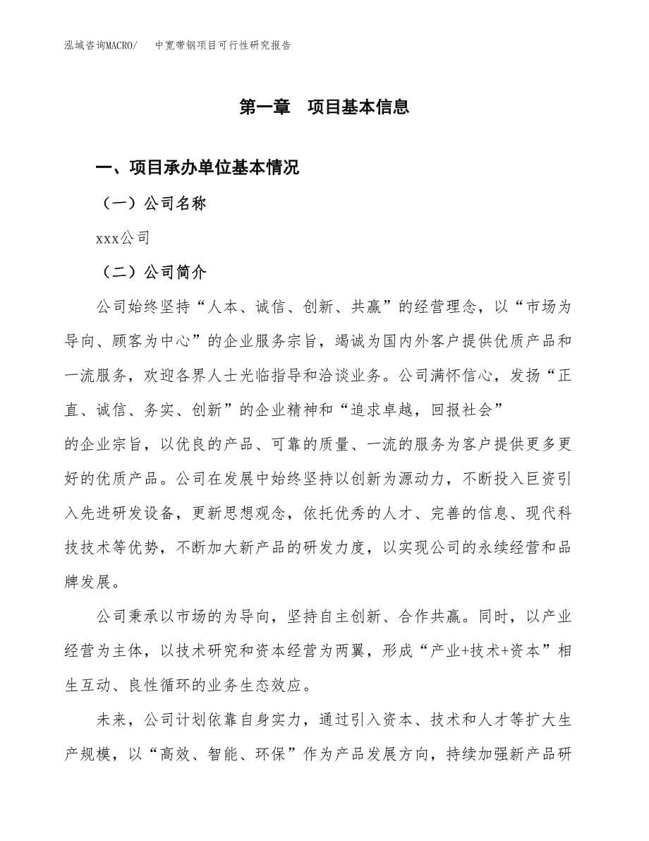 中宽带钢项目可行性研究报告汇报设计.docx_第5页