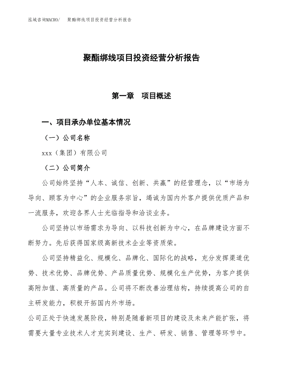 聚酯绑线项目投资经营分析报告模板.docx_第1页