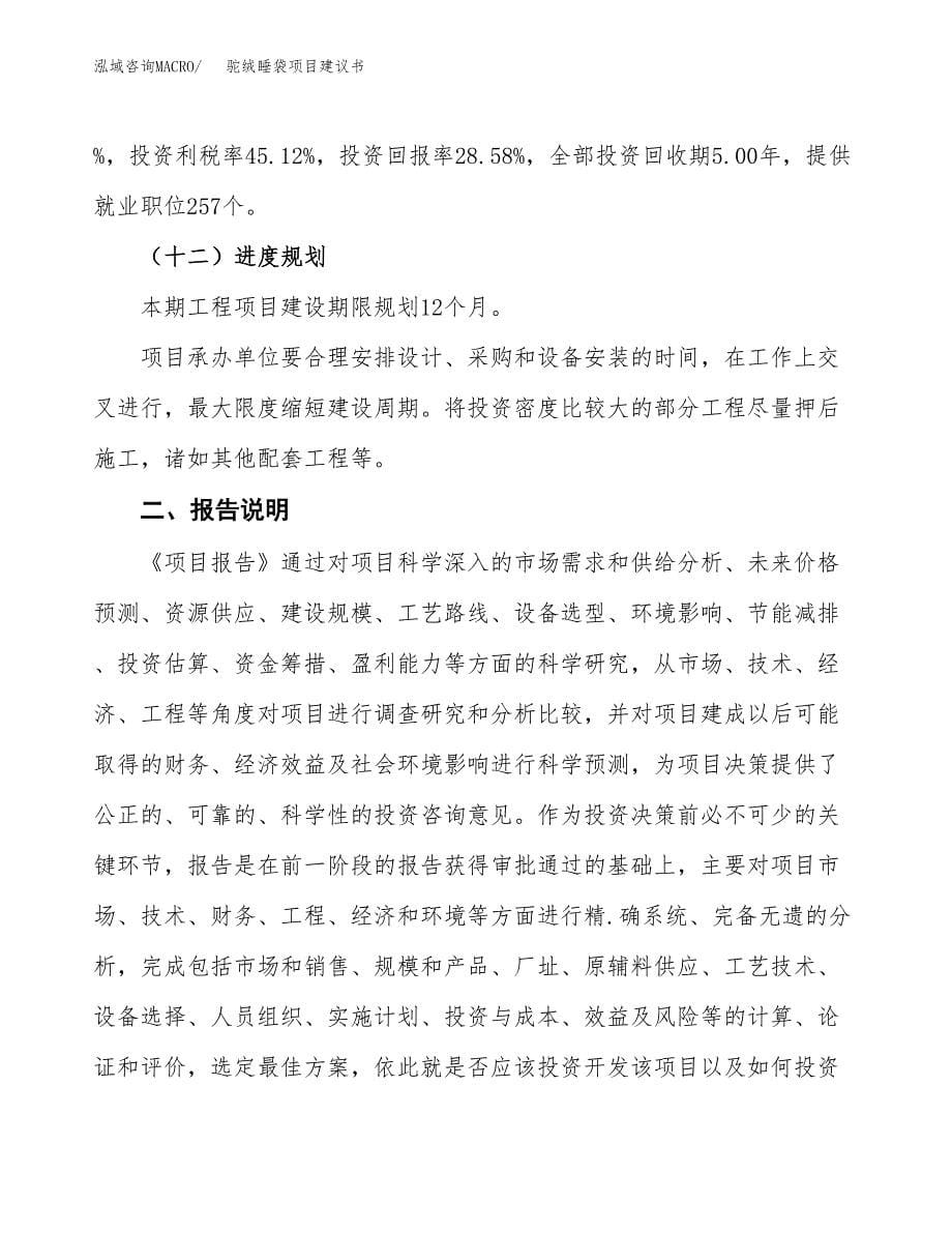 驼绒睡袋项目建议书（可研报告）.docx_第5页