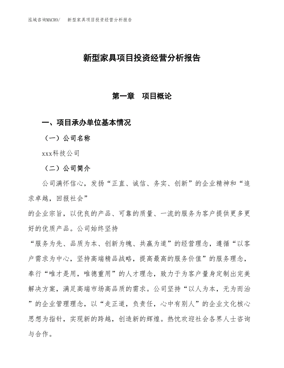 新型家具项目投资经营分析报告模板.docx_第1页