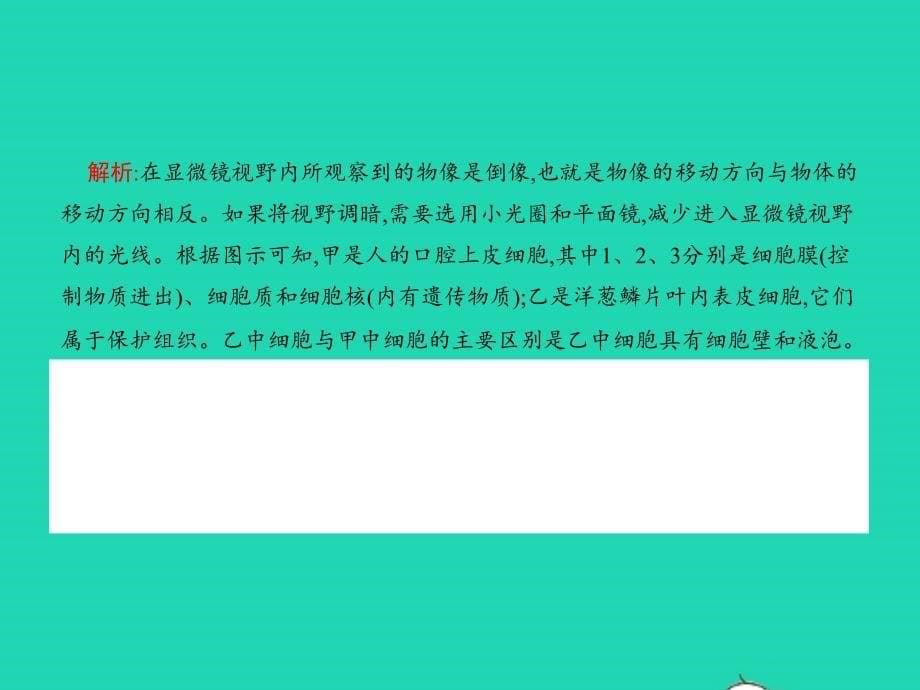 中考生物专题2生物体的结构层次课件_第5页