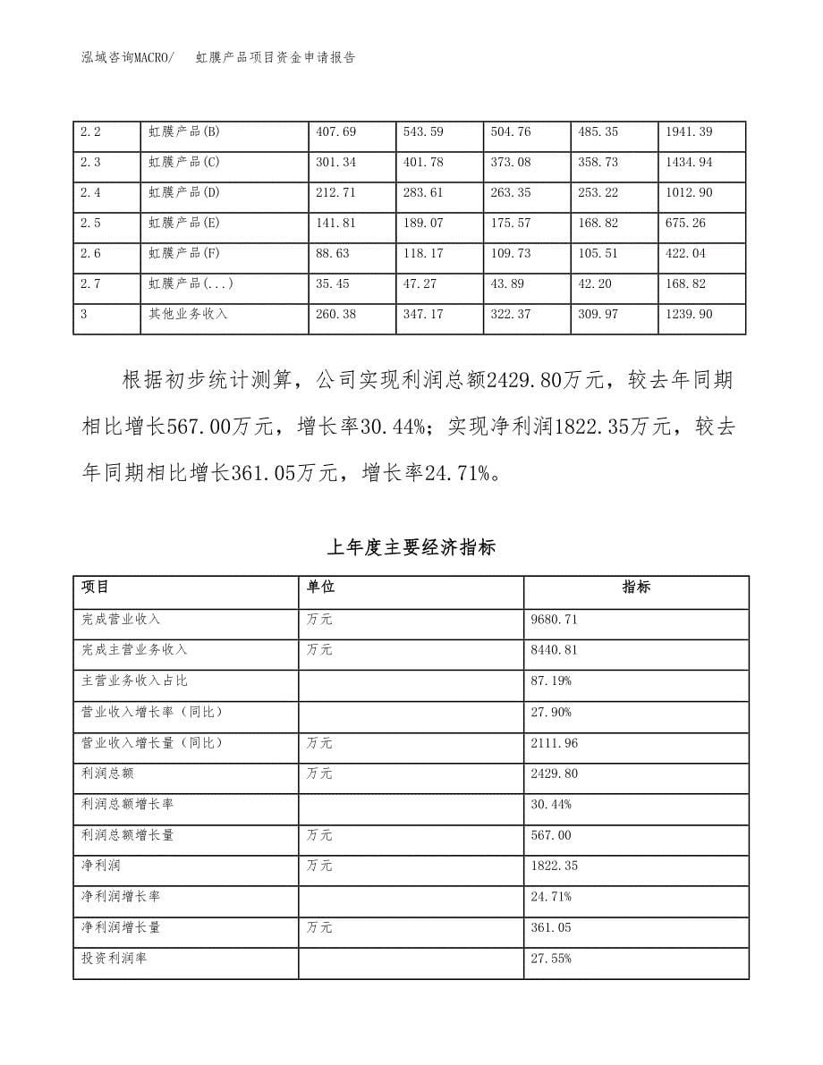 虹膜产品项目资金申请报告_第5页