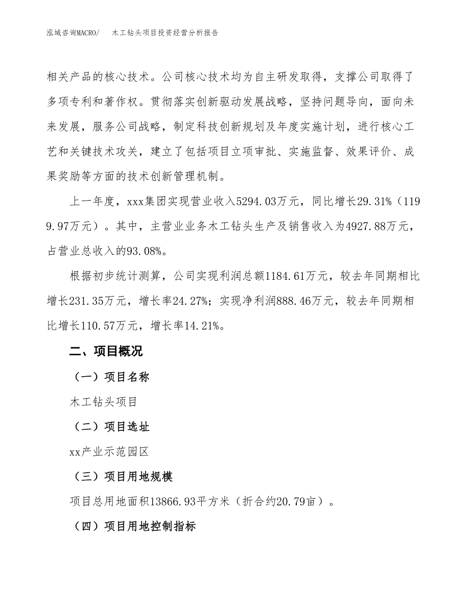 木工钻头项目投资经营分析报告模板.docx_第2页