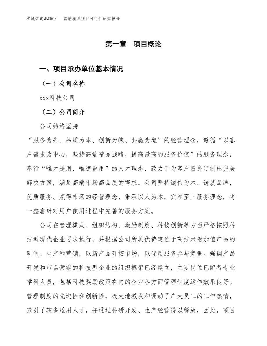 切筋模具项目可行性研究报告汇报设计.docx_第5页