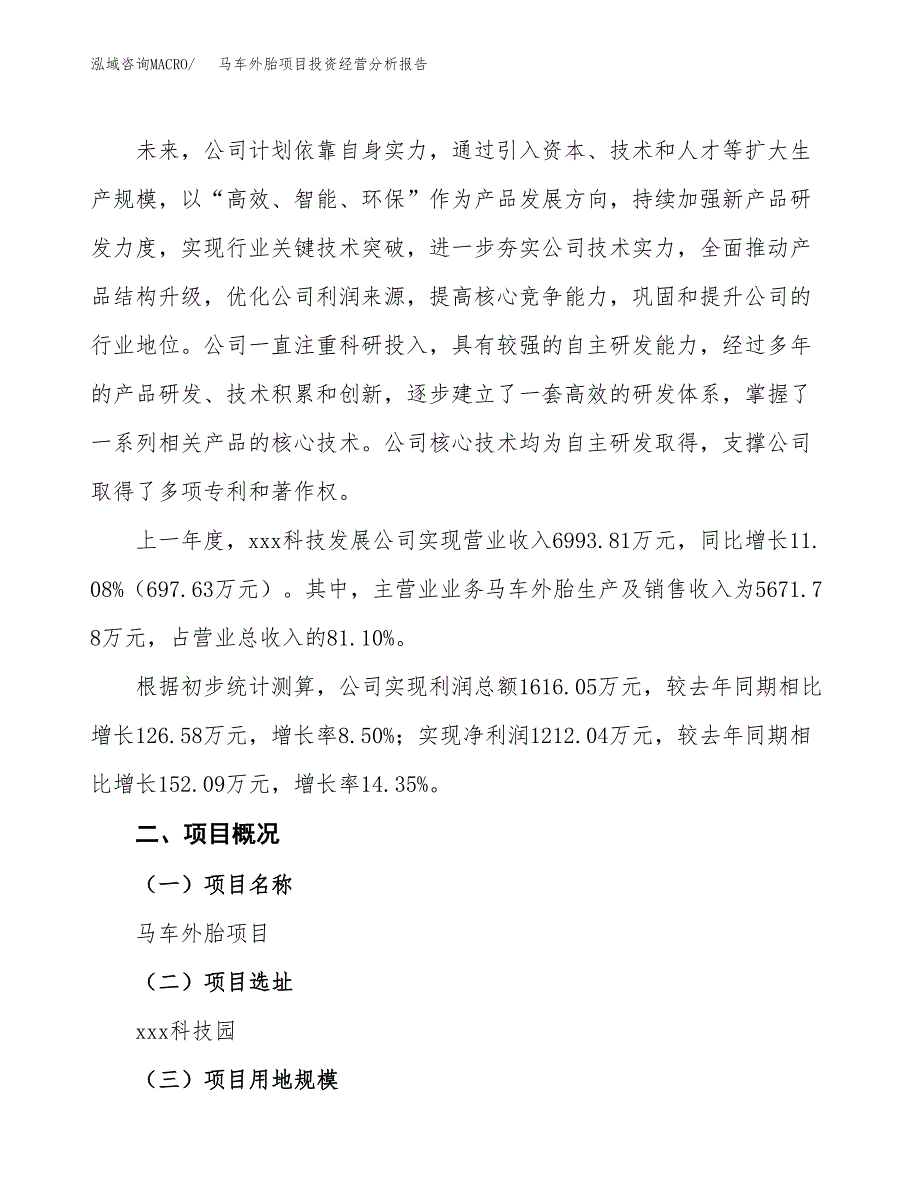 马车外胎项目投资经营分析报告模板.docx_第2页