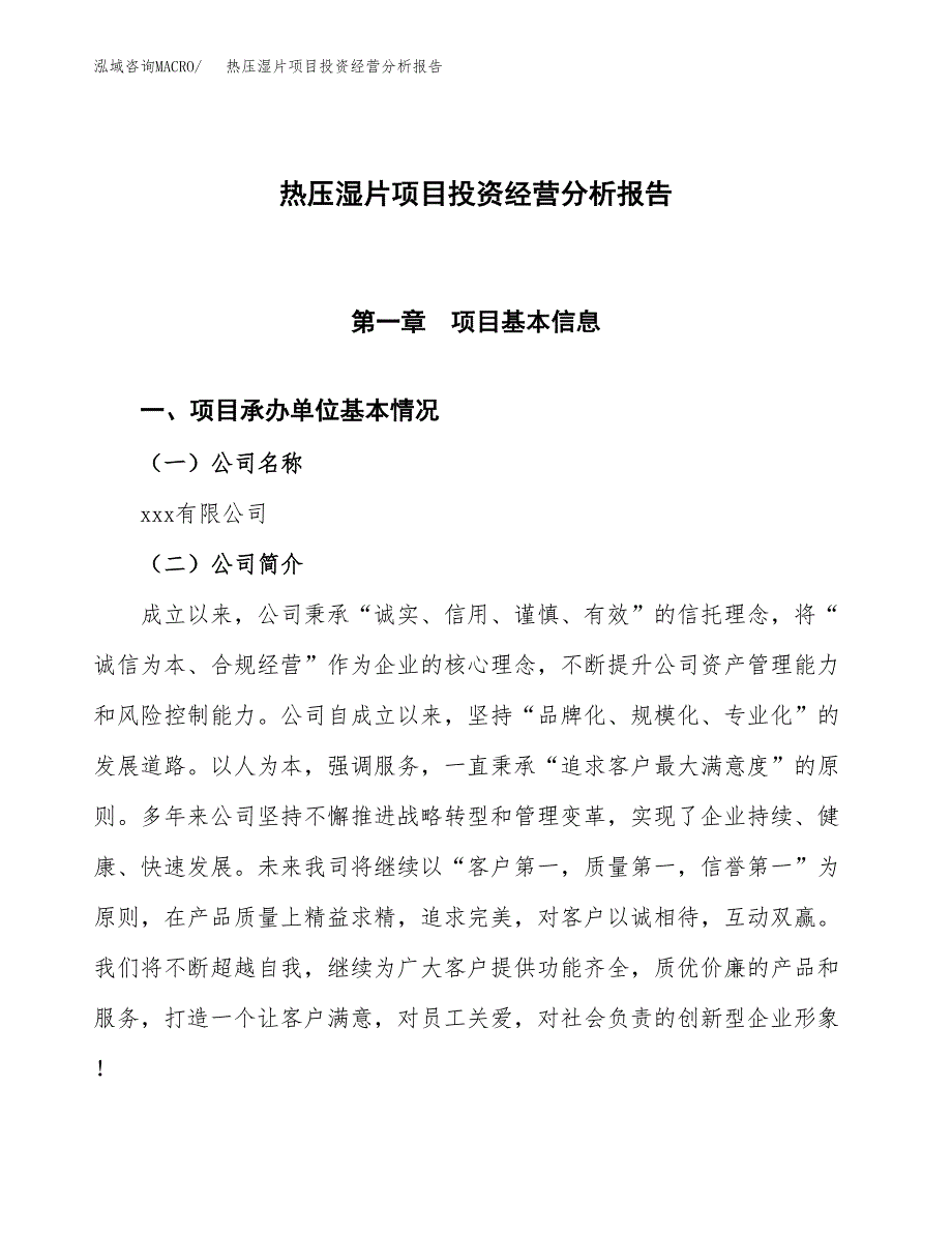 热压湿片项目投资经营分析报告模板.docx_第1页