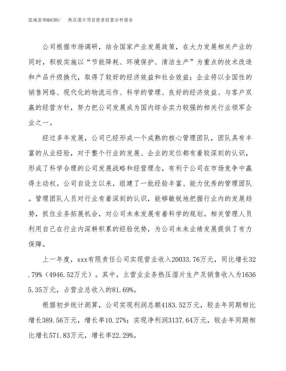 热压湿片项目投资经营分析报告模板.docx_第2页