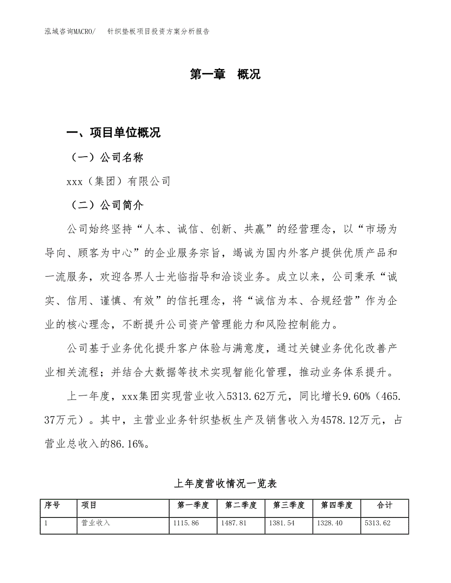 针织垫板项目投资方案分析报告.docx_第1页