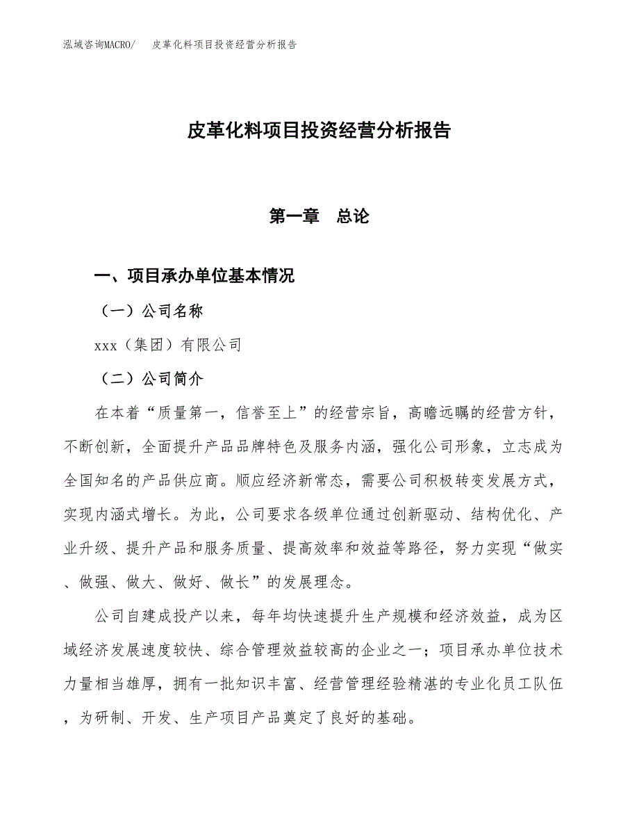 皮革化料项目投资经营分析报告模板.docx_第1页