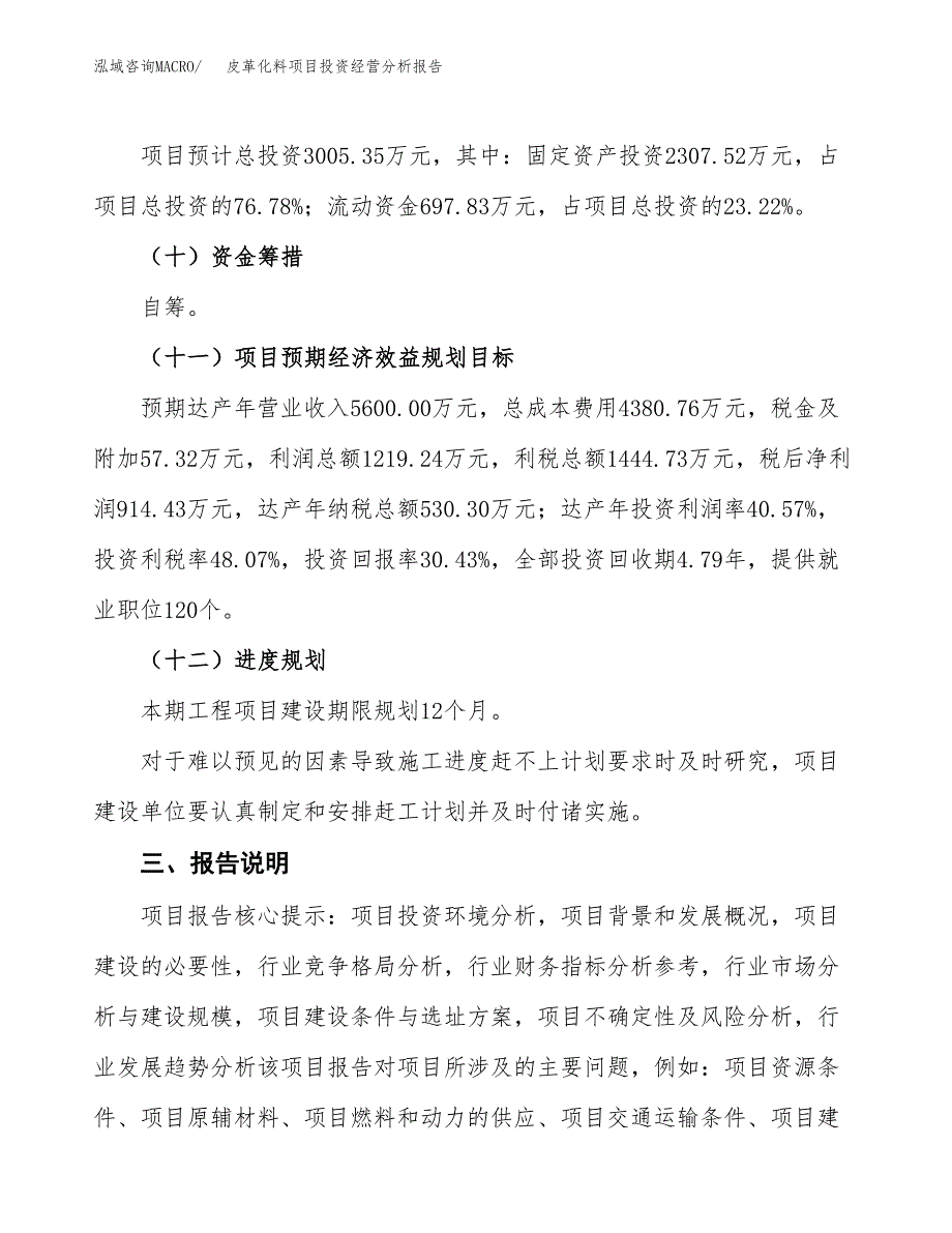 皮革化料项目投资经营分析报告模板.docx_第4页