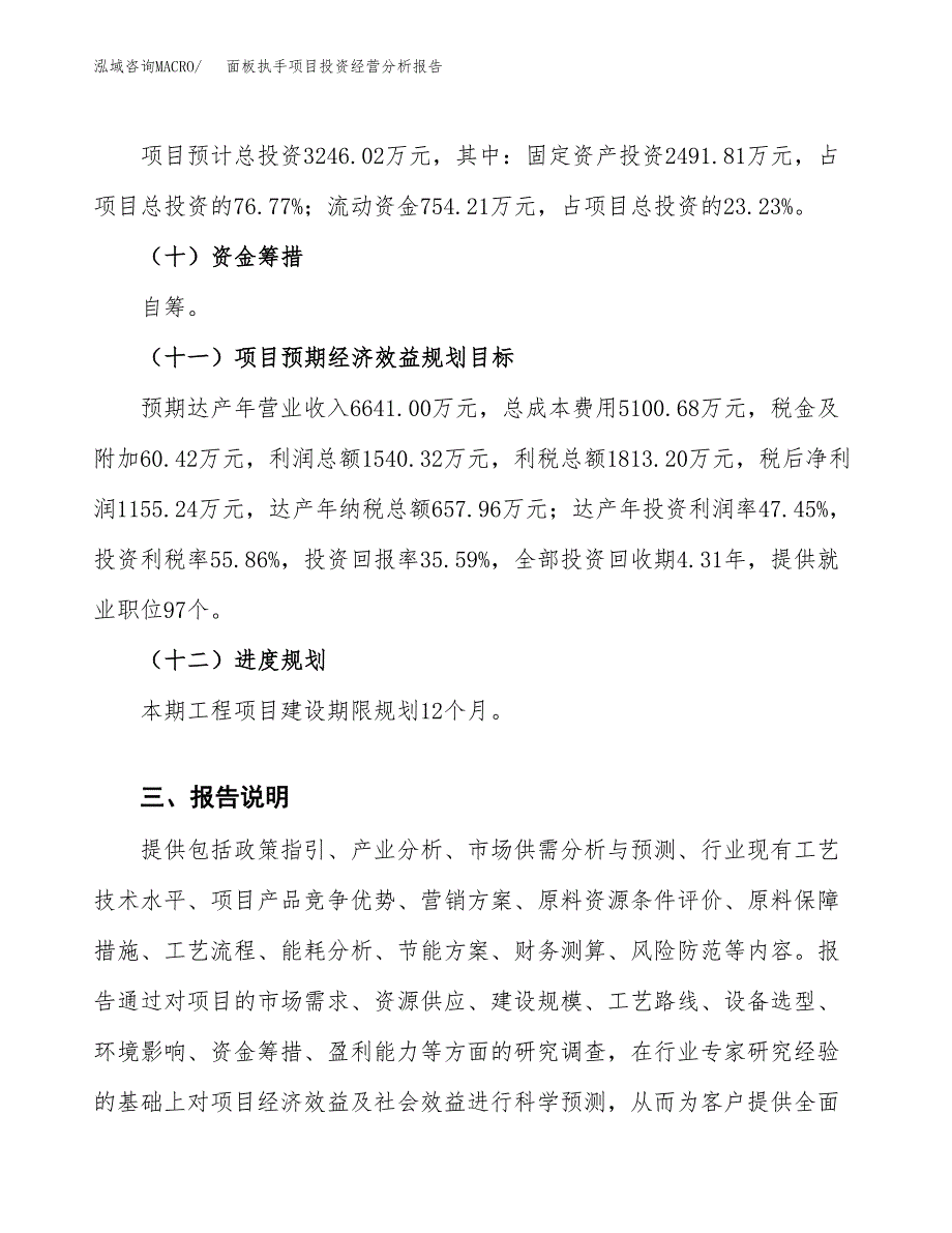 面板执手项目投资经营分析报告模板.docx_第4页