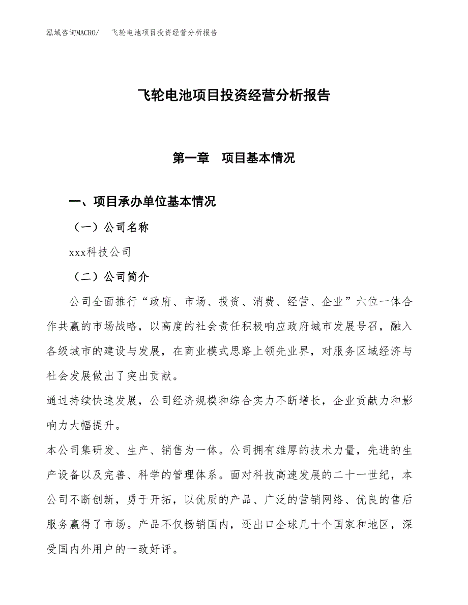 飞轮电池项目投资经营分析报告模板.docx_第1页