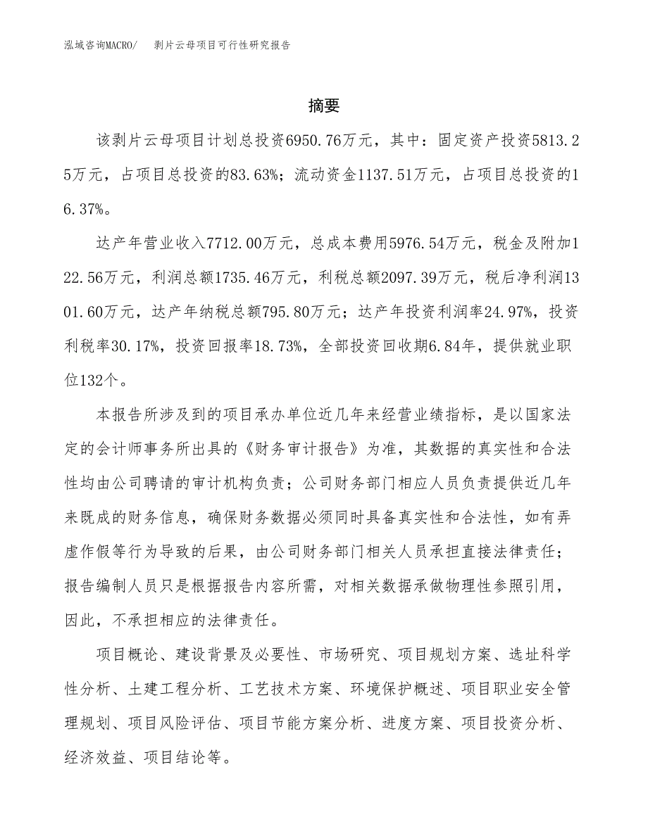 剥片云母项目可行性研究报告汇报设计.docx_第2页