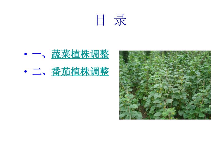 任务一：植株调整_第3页