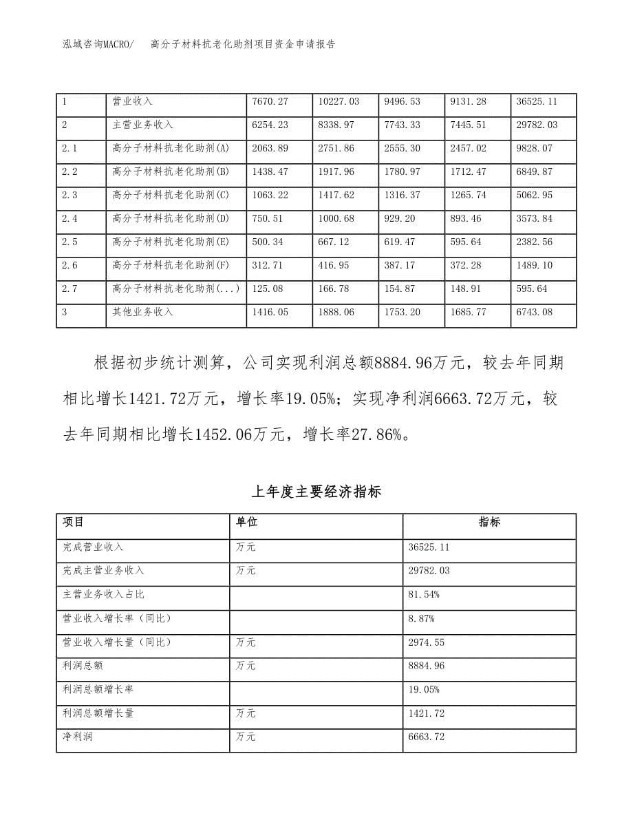 高分子材料抗老化助剂项目资金申请报告_第5页