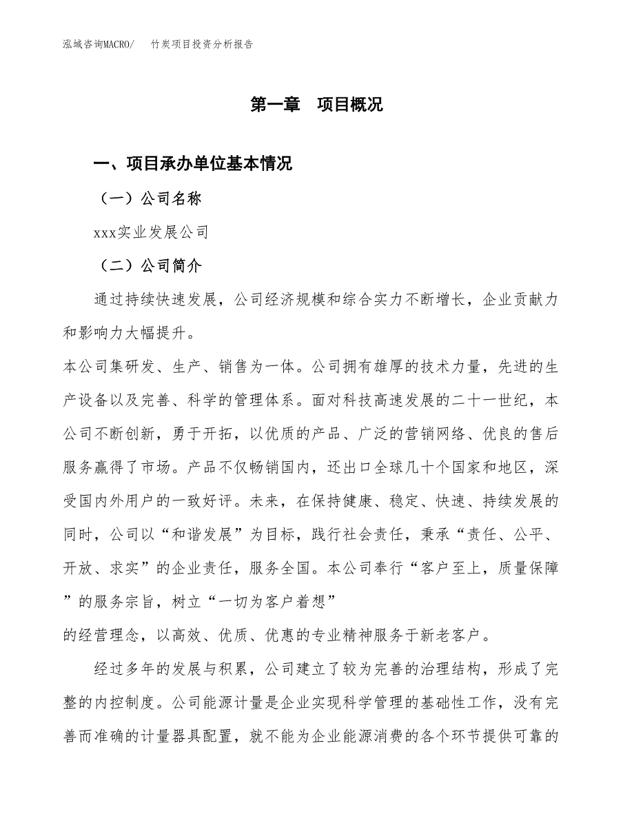 竹炭项目投资分析报告（总投资3000万元）（13亩）_第2页