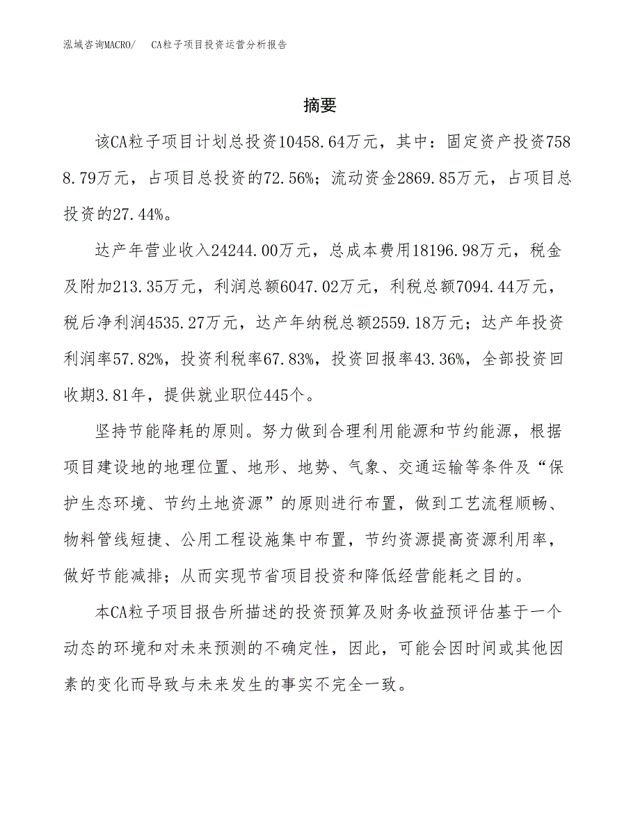 CA粒子项目投资运营分析报告参考模板.docx_第2页