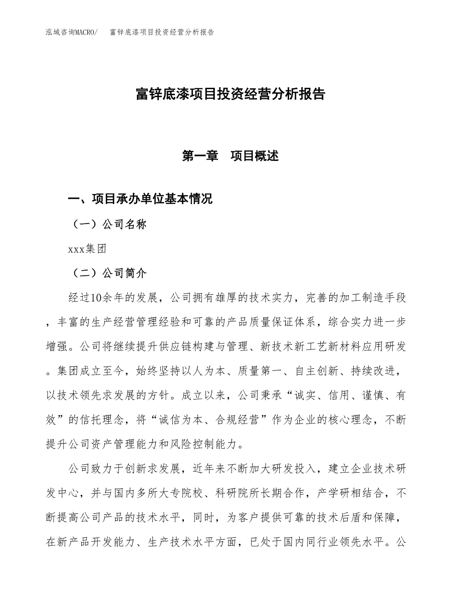 富锌底漆项目投资经营分析报告模板.docx_第1页