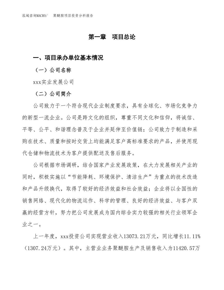 聚醚胺项目投资分析报告（总投资13000万元）（58亩）_第2页