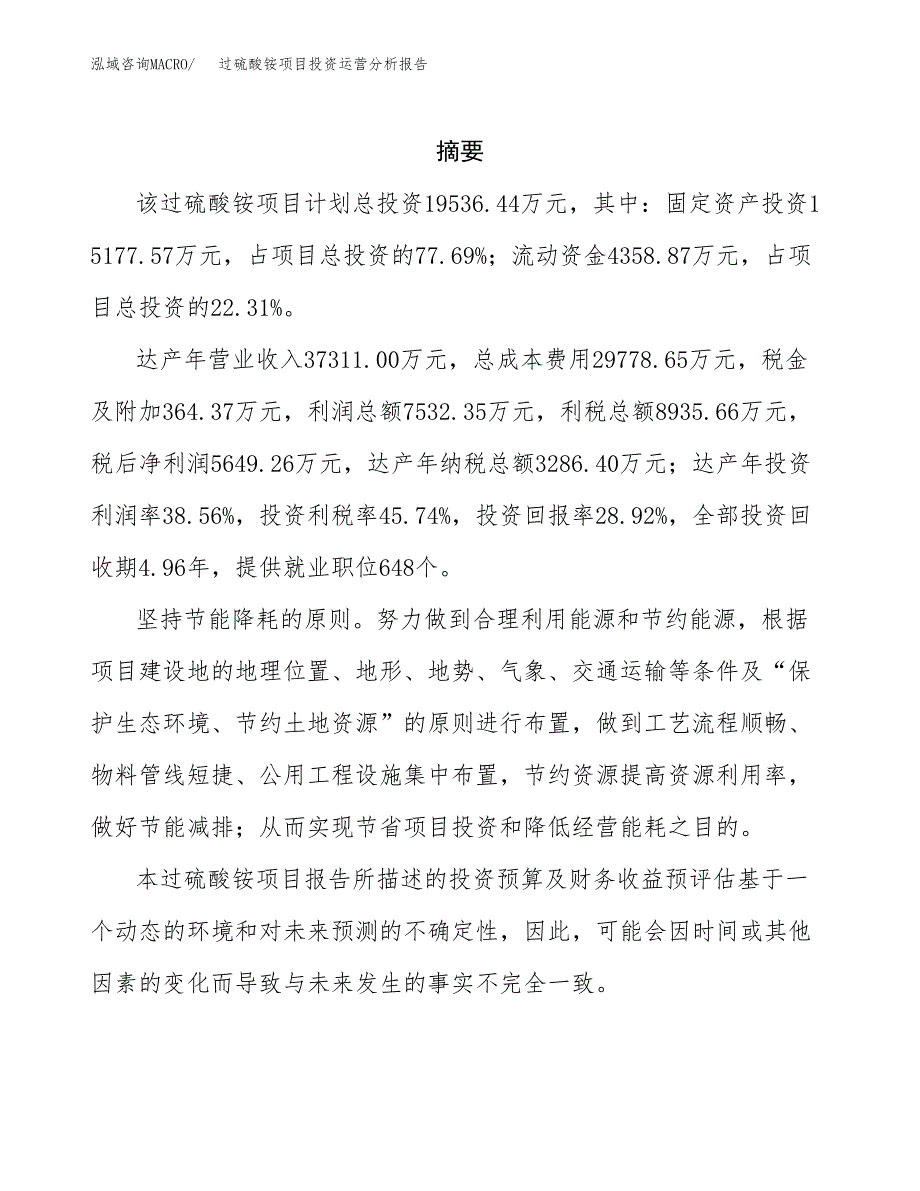 过硫酸铵项目投资运营分析报告参考模板.docx_第2页