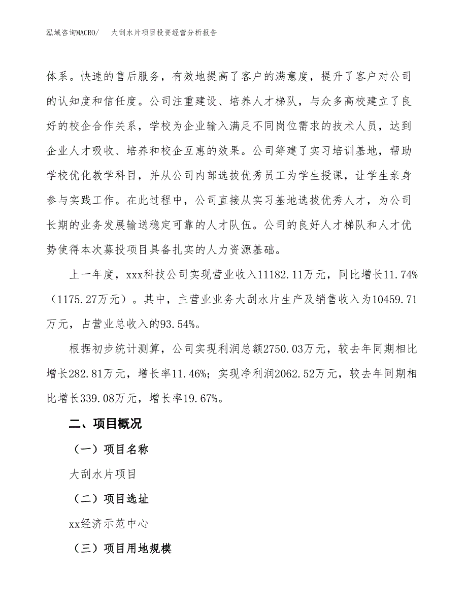 大刮水片项目投资经营分析报告模板.docx_第2页