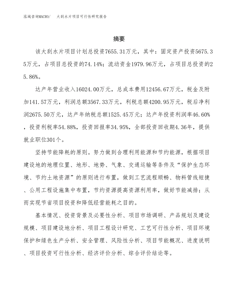 大刮水片项目可行性研究报告汇报设计.docx_第2页