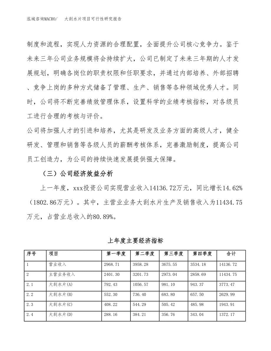 大刮水片项目可行性研究报告汇报设计.docx_第5页