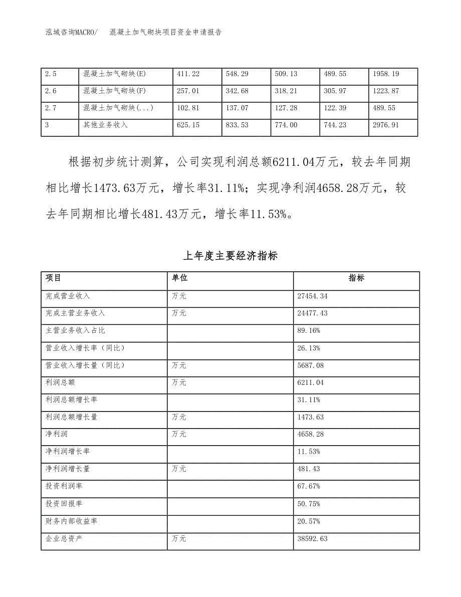 混凝土加气砌块项目资金申请报告 (1)_第5页