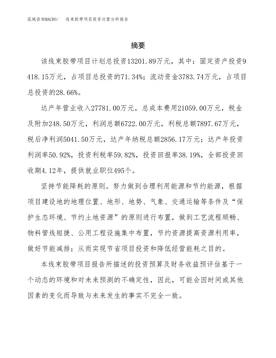 线束胶带项目投资运营分析报告参考模板.docx_第2页