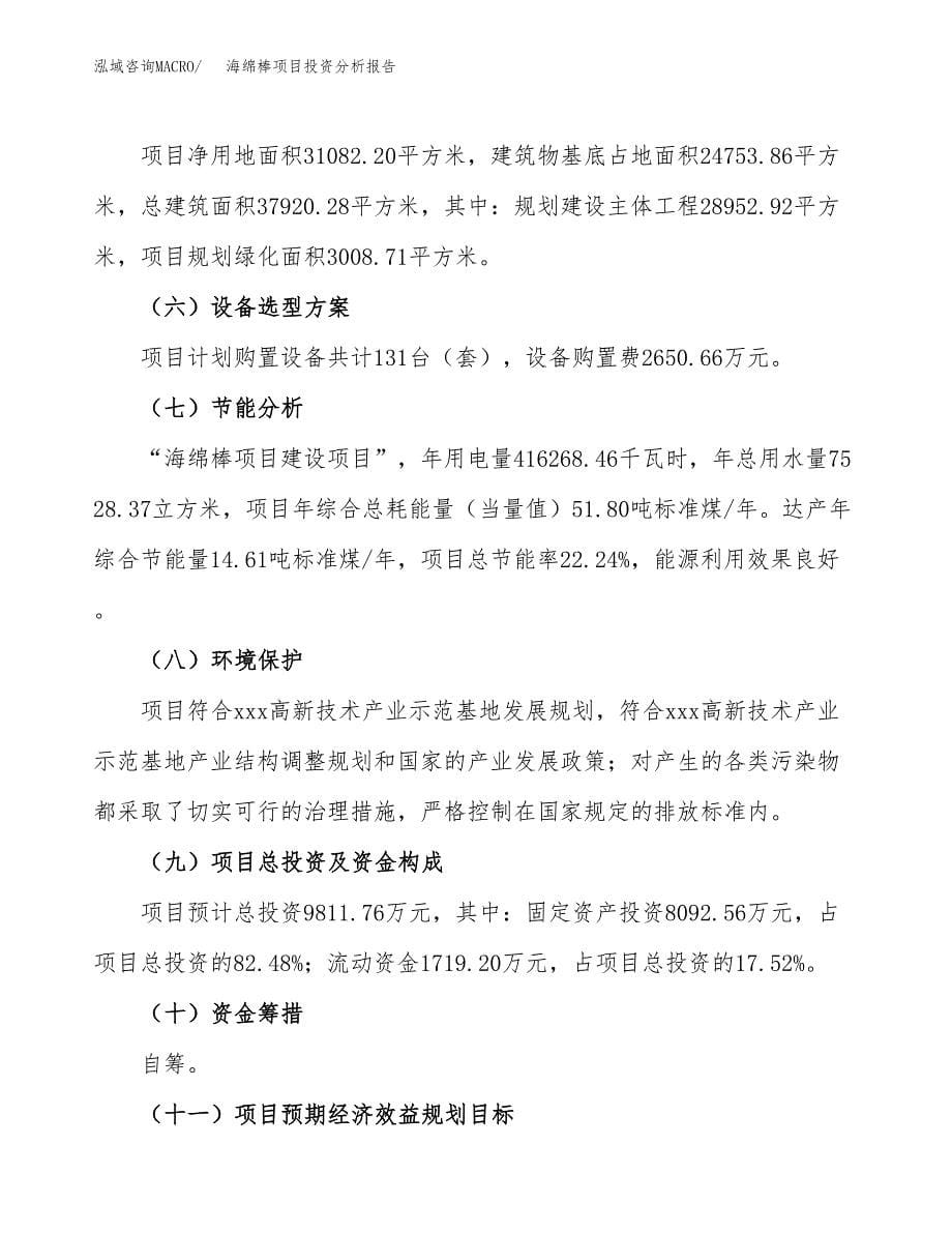 海绵棒项目投资分析报告（总投资10000万元）（47亩）_第5页