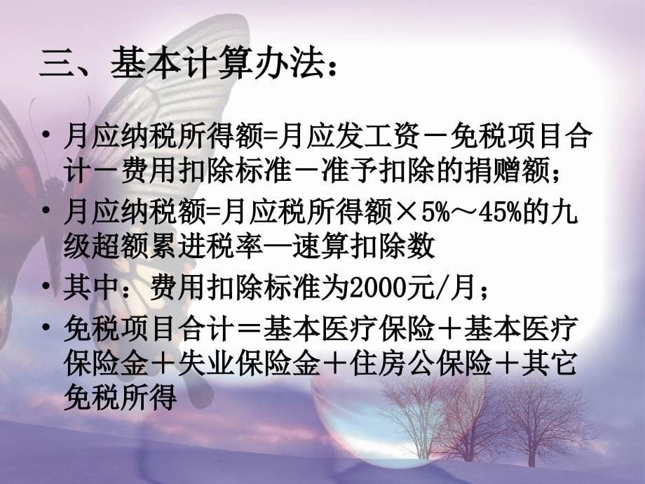 某公司个人所得税相关政策(ppt 31页)_第5页