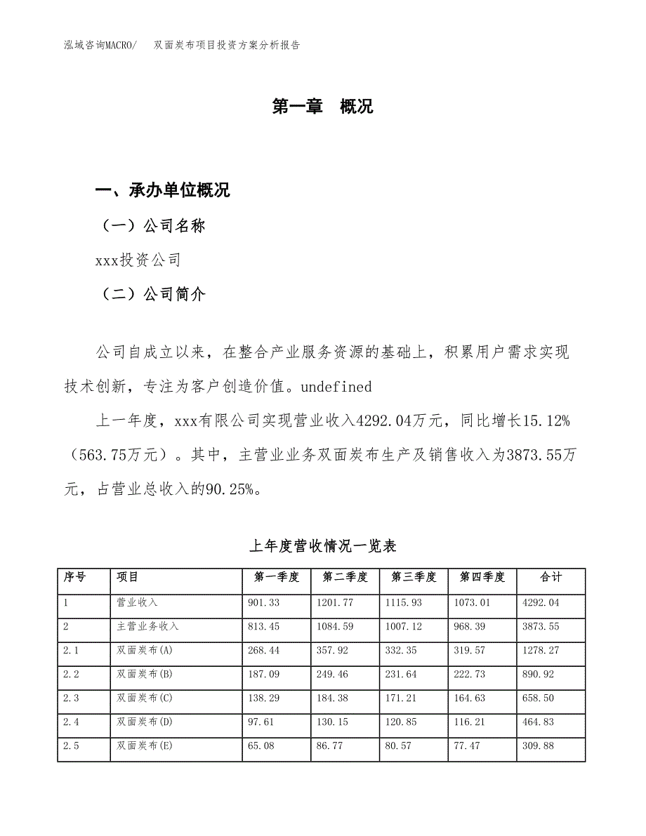 双面炭布项目投资方案分析报告.docx_第1页