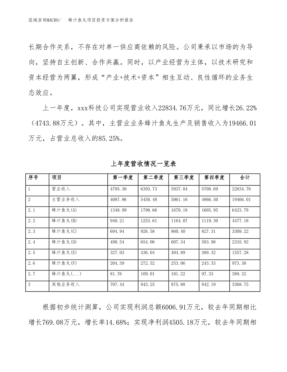 蜂汁鱼丸项目投资方案分析报告.docx_第2页