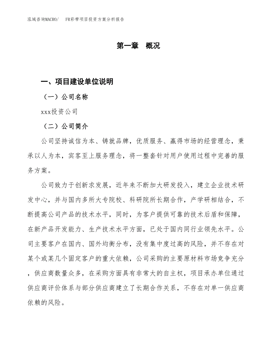 FR彩带项目投资方案分析报告.docx_第1页