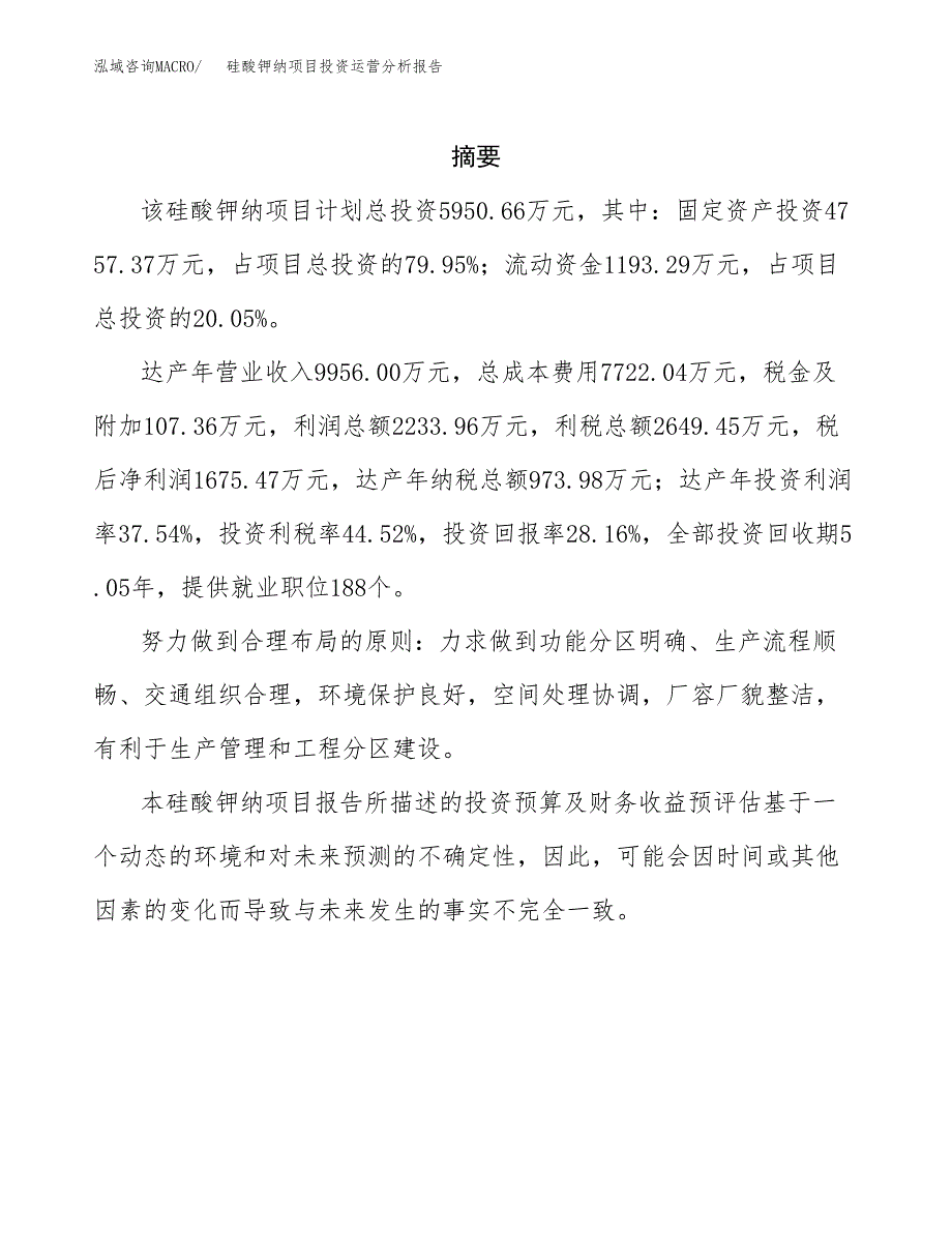 硅酸钾纳项目投资运营分析报告参考模板.docx_第2页