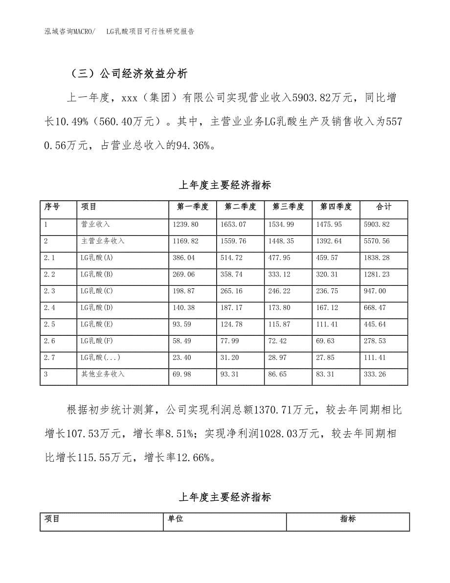 LG乳酸项目可行性研究报告汇报设计.docx_第5页