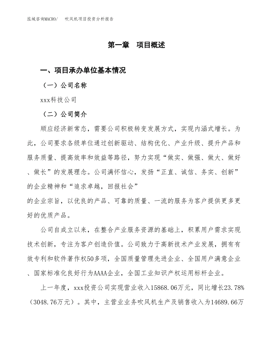 吹风机项目投资分析报告（总投资13000万元）（60亩）_第2页