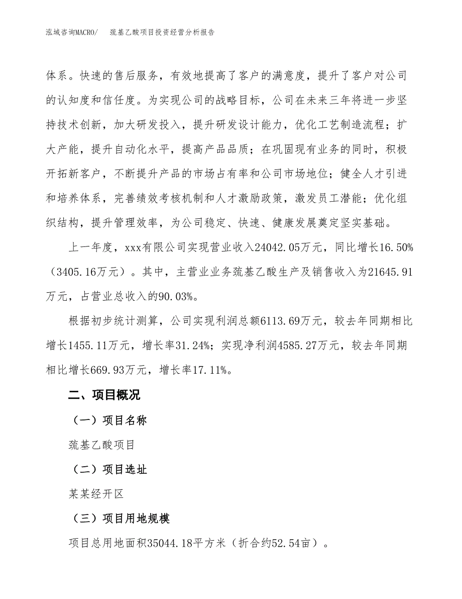 巯基乙酸项目投资经营分析报告模板.docx_第2页